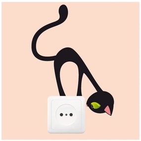 Curious Cat falmatrica, 17 x 12 cm - Ambiance