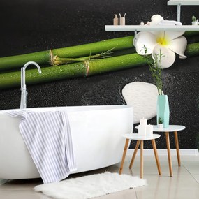 Öntapadó fotótapéta Spa csendélet Jin és  Jang szimbolummal