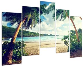 Kép - pálmafák, a tengerparton (125x90cm)