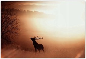 Poszterek 155x105 Szarvas az erdő szélén