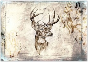 Poszterek 100x70 Szarvas agancsok