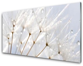 Fali üvegkép pitypang növény 120x60cm