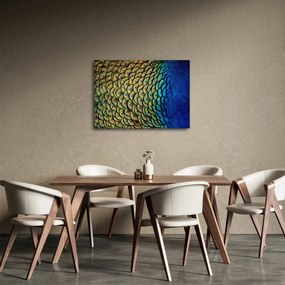 Kép - Pávatollak (70x50 cm)