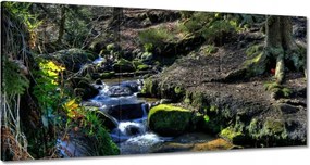 Vászonkép 120x60 Hegyi patak
