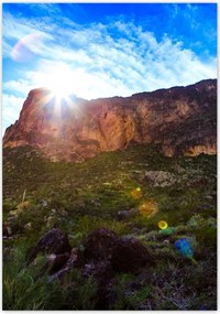 Poszterek 70x100 Tájkép kaktuszokkal