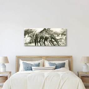 Kép - Zsiráfok, vintage (120x50 cm)