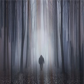 Flizelin fotótapéta Flizelin Designer Erdei csend 250x250 Ragasztó