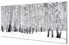 Akrilkép Téli nyírfák 100x50 cm