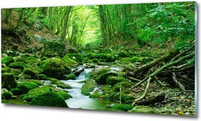 Fotó üvegkép New York madár repülés 125x50