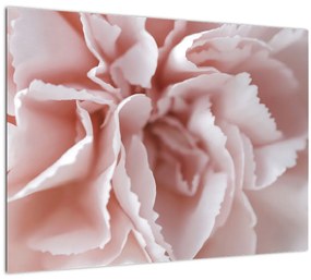Kép - Virág részlete (70x50 cm)