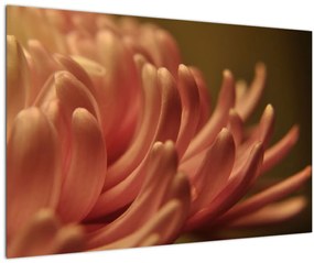 A virág részletének képe (90x60 cm)