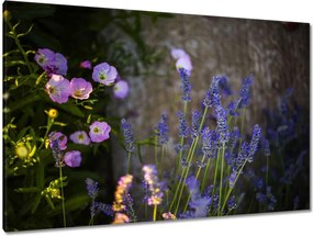 Festmények 120x80 Levendula