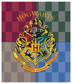 Harry Potter Hogwarts Coral Fleece Polár Takaró 120x150cm