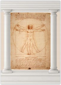 Poszterek 50x70 Vitruvius ember