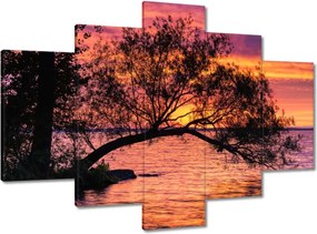 Festmények 150x105 Tó Fa Nyugat