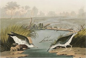 Stílusos Dekoratív Fotótapéta Flizelin Nyugodt tájkép 104x70 Ragasztó