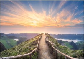 Fotótapéta Híd Gyönyörű Kilátás Fotótapéta 312 x 219 12661VEXXL