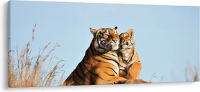 Kép - Tigris és a kölyke (120x50 cm)