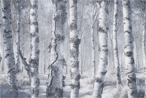 Flizelin tapéta Divatos 3D fali ragasztó Fagyos természet 104x70 Ragasztó