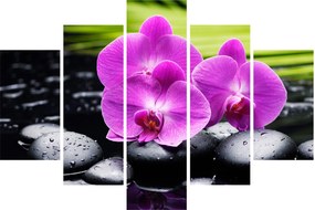 Kép - Orchideák (150x105 cm)