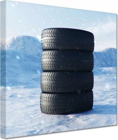 Vászonkép 60x60 4 Nyári gumiabroncsok a hóban