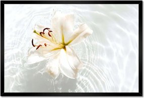 Poszterek keretben 60x40 Virág a vízen Név