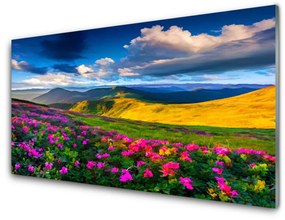 Akrilkép Mezei virágok természet Plant 120x60 cm 2 fogas