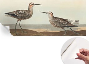 Fotótapéta Öntapadós Dekoratív Tapéta Madár sziluettek 250x104 cm