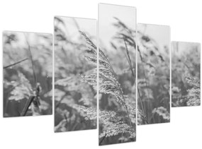 Kép - Fű a szélben (150x105 cm)