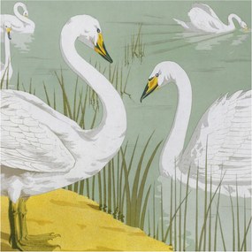 Flizelina Dekoratív Fotótapéta Hálószoba Hattyúk tó 250x250 Ragasztó