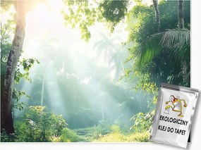 Fotótapéta Erdő Fák Természet Hálószoba Nappali Tapéta Flizelina 150x105