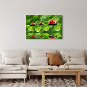Kép - A hét nap napfénye (90x60 cm)