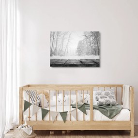Üveg kép - Fából készült móló télen (70x50 cm)