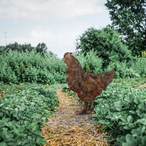 Chicken fém kerti dísztárgy, 64×42 cm – TR565TNL1281