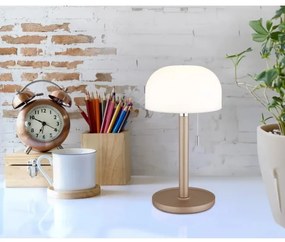 Globo 21016CH - NORMAN LED asztali lámpa 1,5W 3000-6000K barna