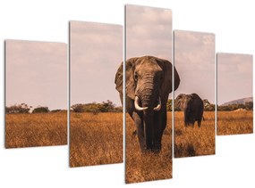 Kép - Az elefánt érkezése (150x105 cm)