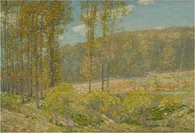 Fotótapéta Dekoratív Fali Tapéta Képek Erdei tájkép 152x104