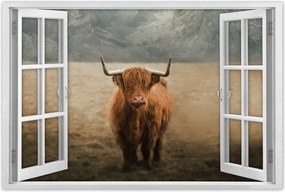 Poszterek 90x60 Skót tehén szarvasmarha