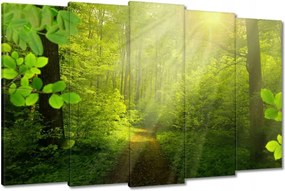Vászonkép 150x95 Varázslatos erdő Sugárzás