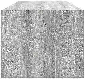 TV Szekrény Szürke Sonoma 100x31x25,5 cm Szerelt Fa