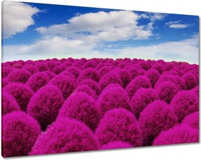 Vászonkép 100x70 Kifejező rét Tájkép