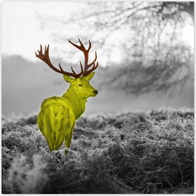 Poszterek 140x140 Sárga szarvas Erdő Tájkép