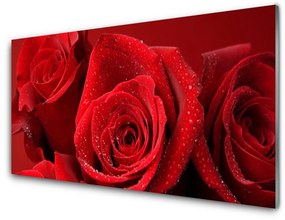 Akril üveg kép rózsa virágok 140x70 cm