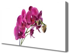 Vászonkép Orchidea virágok Természet 125x50 cm