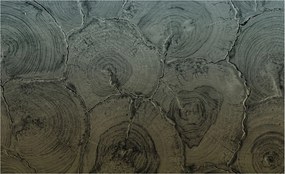 Fotótapéta Flizelin Dekoratív Hálószoba Fa tégelyek 416x254