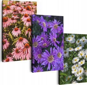 Vászonkép 180 cm **többféle minta** Képek A Nappaliba Triptichon Virágok