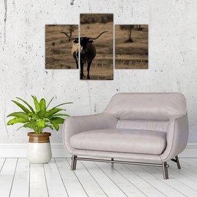 Kép - Texasi tehén (90x60 cm)