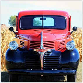 Poszterek 100x100 Ford autó