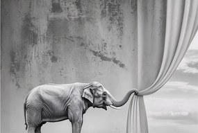 Fotótapéta Flizelina Dekoratív Irodai Szürreális elefánt 104x70 Ragasztó