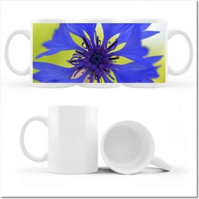 Chaber fényképes bögre